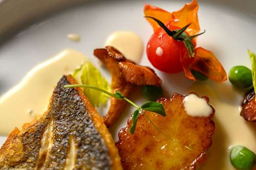 Details of pan seared bronzino Dish